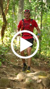 BIB:  <button type="button" onclick="openModal(27631238)" class="btn btn-primary btn-sm float-right" data-toggle="modal" data-target=".modal-high-quality">
                <i class="fa fa-download"></i> Download
                </button>